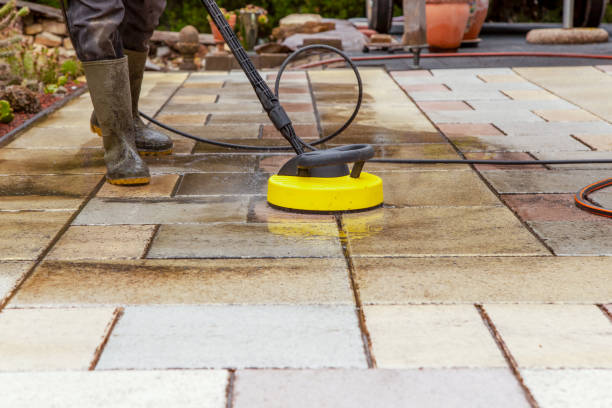 Best Gutter Cleaning  in Wayne Heights, PA